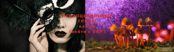 круглые Магас