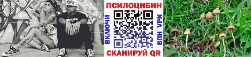 Галлюциногенные грибы MAGIC MUSHROOMS Чернушка