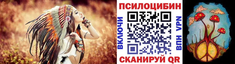 мега   Чернушка  darknet состав  где найти   Псилоцибиновые грибы Psilocybe 