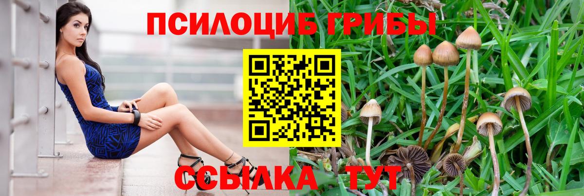 Галлюциногенные грибы мухоморы Чернушка