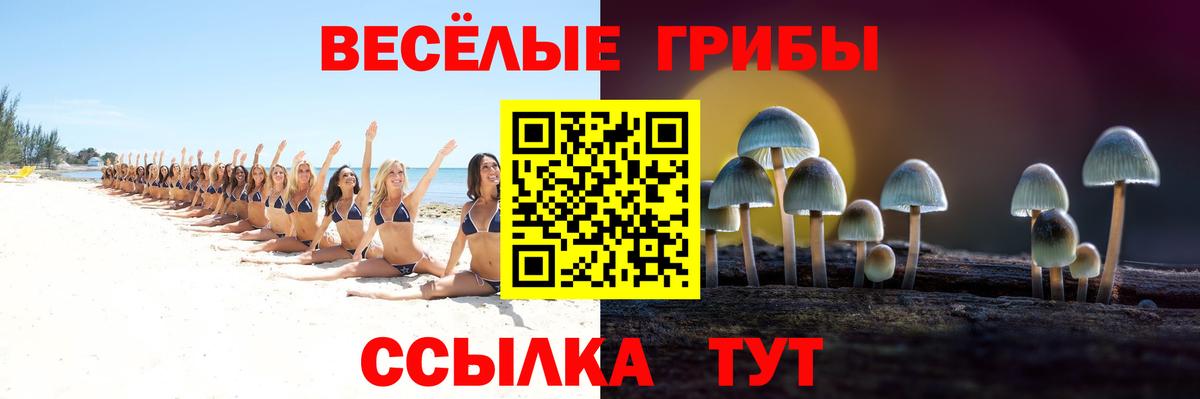 Псилоцибиновые грибы Magic Shrooms  Псилоцибиновые грибы мицелий  Чернушка  Вход с VPN 
