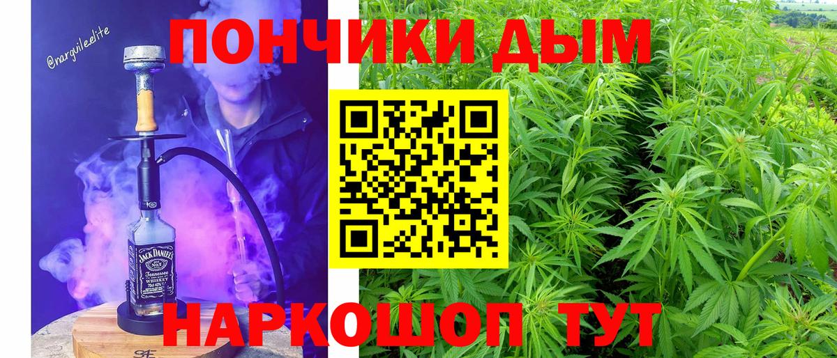 Бошки Шишки THC 21% Чернушка